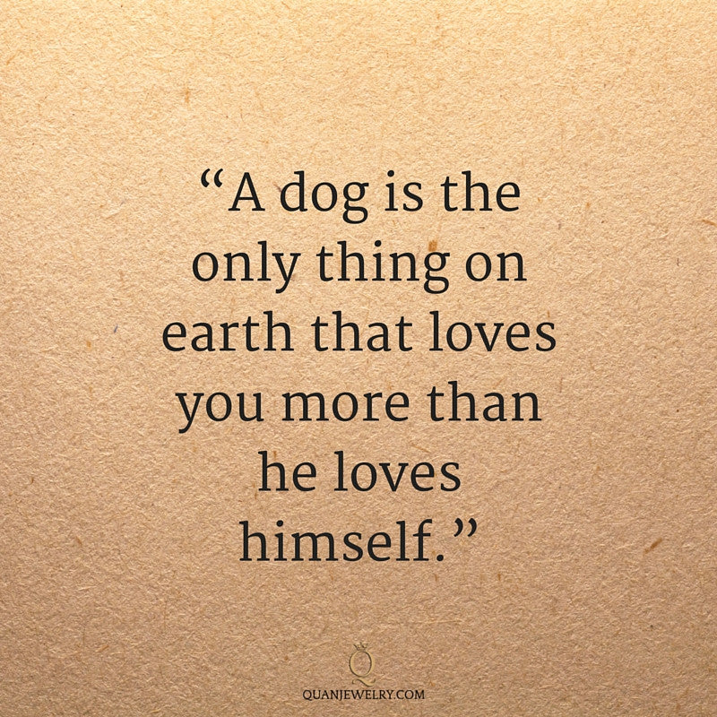 Must Love Dogs, Cats and Other Four-Legged Friends