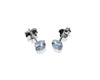 Clarisse Cubic Zirconia Stud Earrings for Women with Earring Jackets