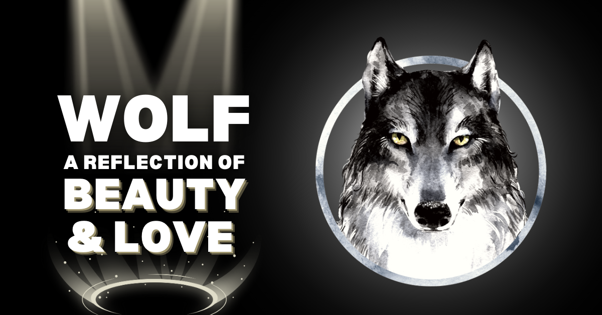 Wolf: A reflection on the beauty of love