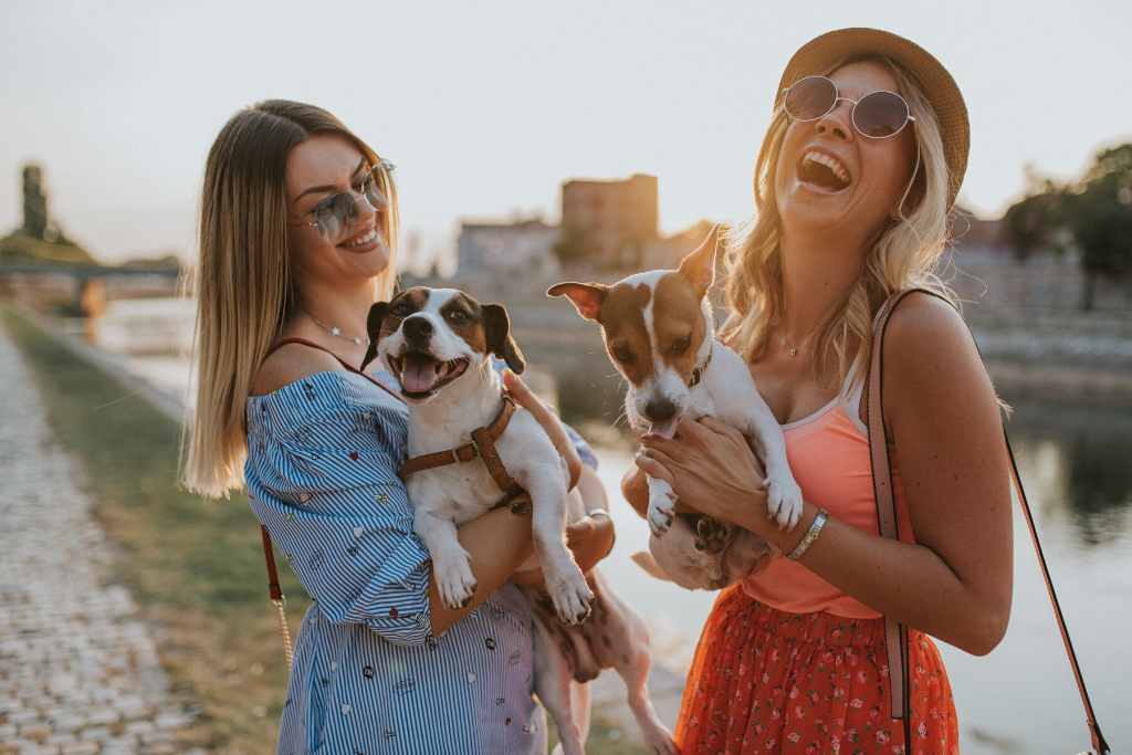 The Best Gifts for Dog Moms, Dog Dads and all the Dog Lovers in the World - International Dog Day