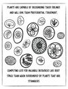 Free Back-To-School Printables Plants with Fun Facts Coloring Activity Sheets